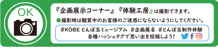 撮影について