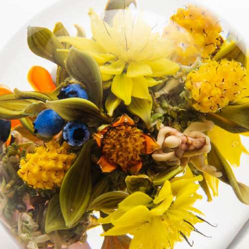 Paul J.Stankard、Ryan Teurfs02